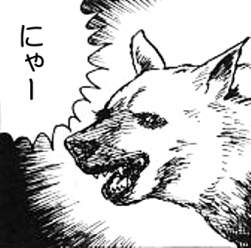 46242 B