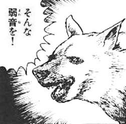 42283 B