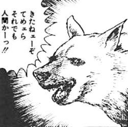 43499 B