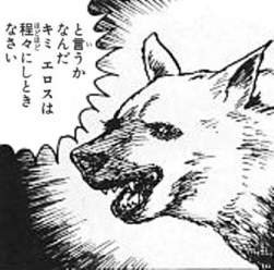 43855 B