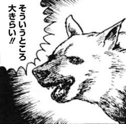54923 B