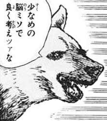 96991 B