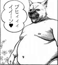 45999 B