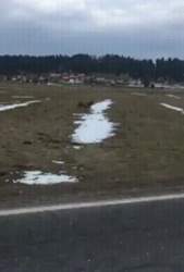 886487 B