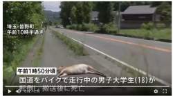 71164 B