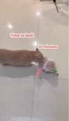 1217414 B
