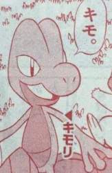 33794 B