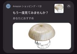 243314 B