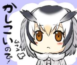 44242 B