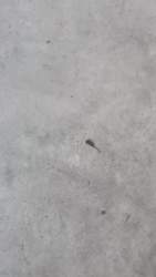 7839720 B