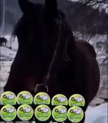 327294 B