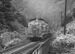116423 B