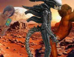 337136 B