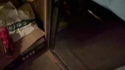 2502720 B