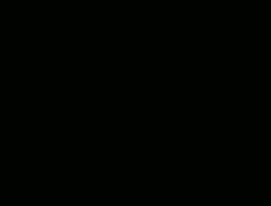 6457437 B
