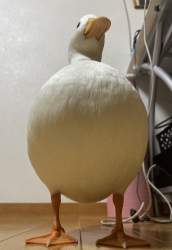 268901 B