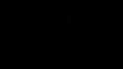 7962955 B