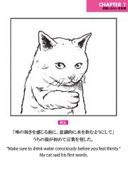 64256 B
