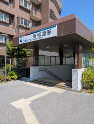 4996333 B