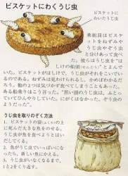 72269 B
