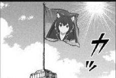 7994 B