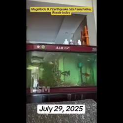 8042098 B