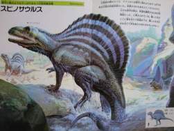 79281 B