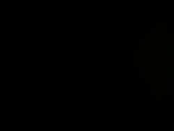 8016272 B