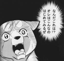 40089 B