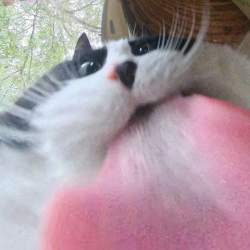 63697 B