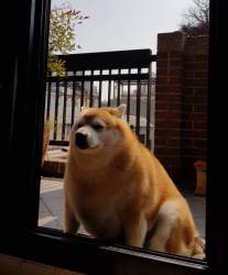 84853 B