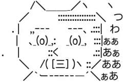 7244 B
