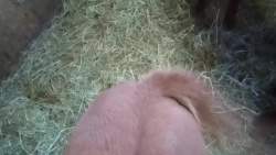 1755198 B