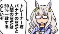 21324 B