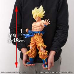 57274 B