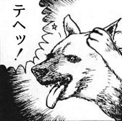 54562 B