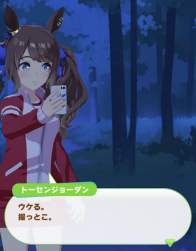43388 B