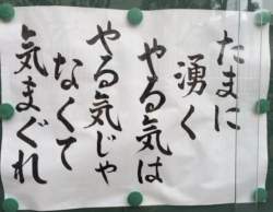 103565 B