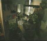 389666 B