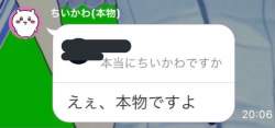 49351 B