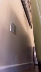1853941 B