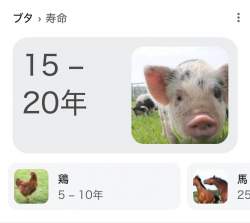 95876 B