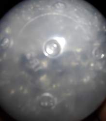 1734711 B