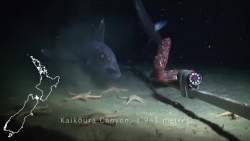 5492551 B