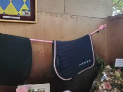 3646097 B