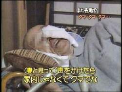 22308 B