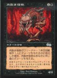 20558 B