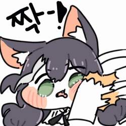 52667 B