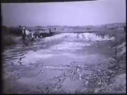 8066733 B