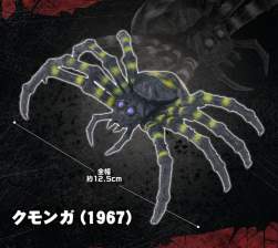 250884 B